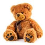 قیمت و خرید بهترین خرس عروسکی بزرگ دخترانه ارزان دیجی کالا